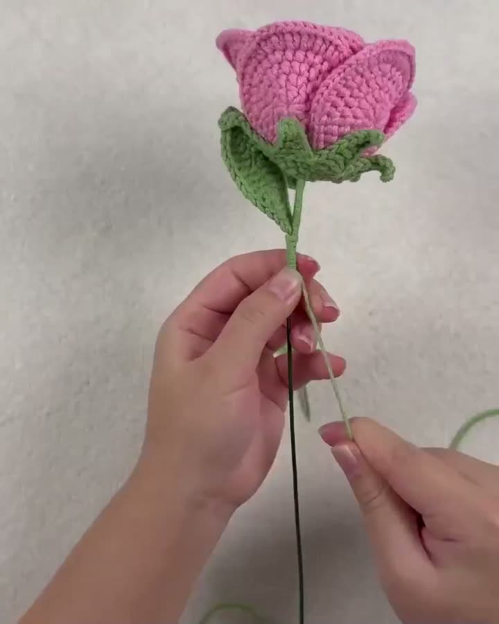 This Beautiful Rose