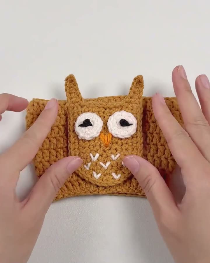This Beautiful Owl Cup Cozy